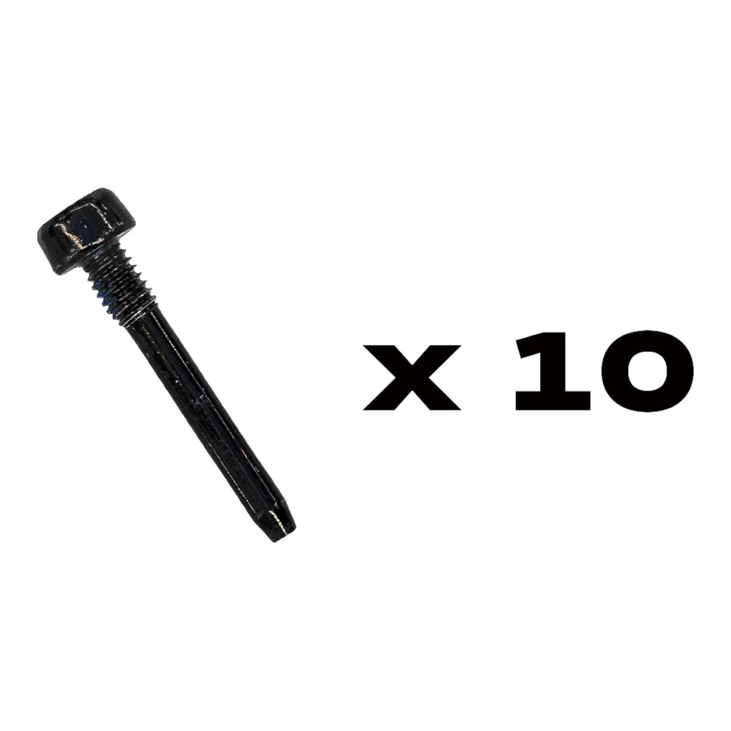 Гвинти кріплення гальмівних колодок